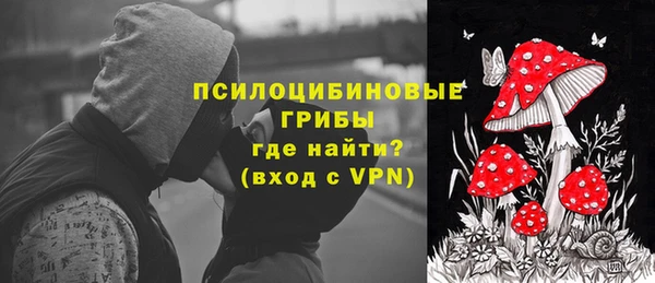 эйфоретик Белоозёрский