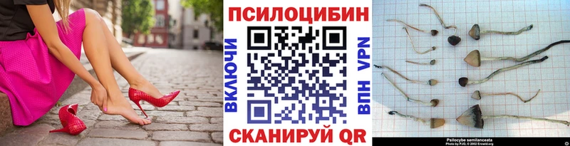 Галлюциногенные грибы прущие грибы Борисоглебск